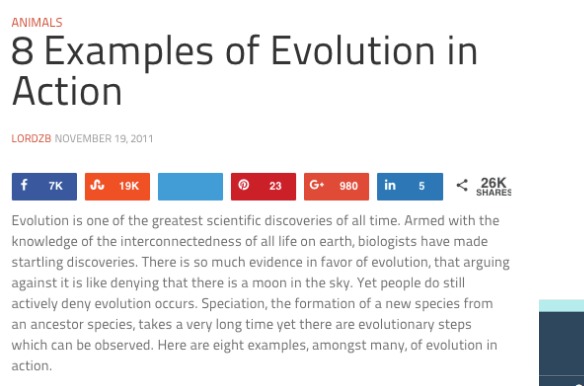 example of Curated Collection Post